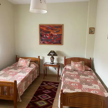 Apartman Comfy Spacious *