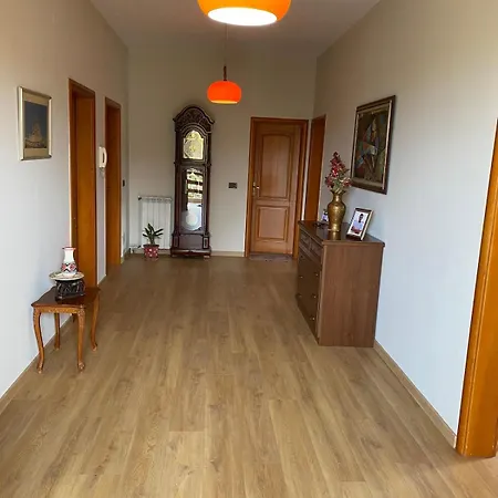 Comfy Spacious Apartman Tirana